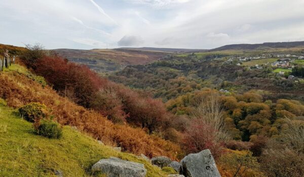 Looking down on Clydach Gorge