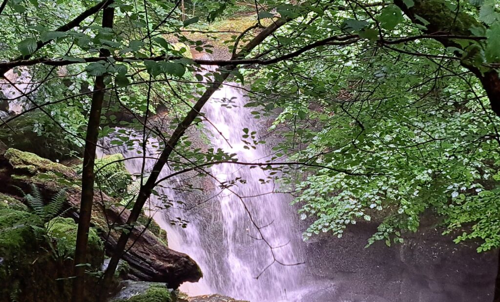 Waterfalls in Cwm Pwca. Photo - Carolyn Jones
