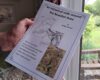 TRAIL: An Historical Walk around the Beaufort Area - Image 2